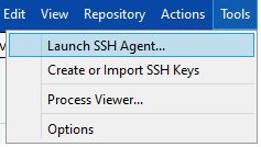 Launch SSH Agent
